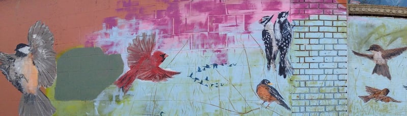 The Surprising Benefits of Feeding Birds in Winter