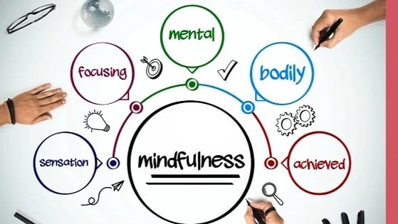 Day 1: Vision & Vitality reset