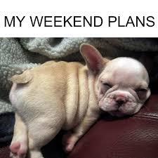 Don't Know What to Do This Weekend?