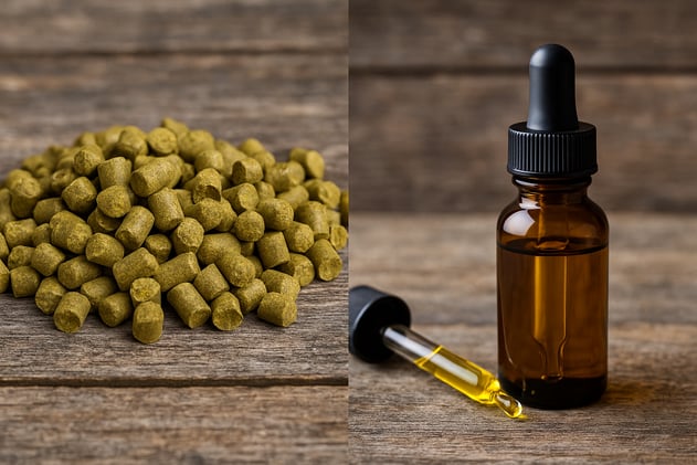 Hop Oils vs. Pellets: Tiny Droplets, Big Aroma