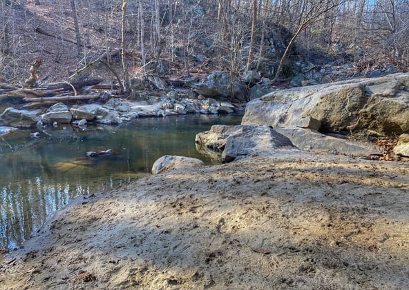 DC-ACX First Day Hike