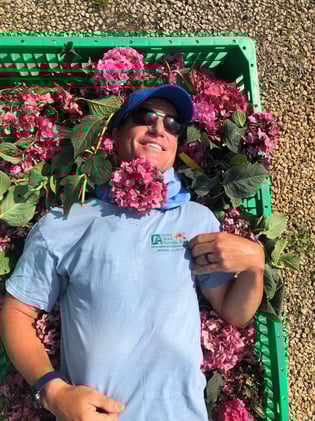 The Garden and the Gift of Being Present