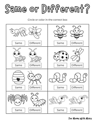 Same or Different Insects
