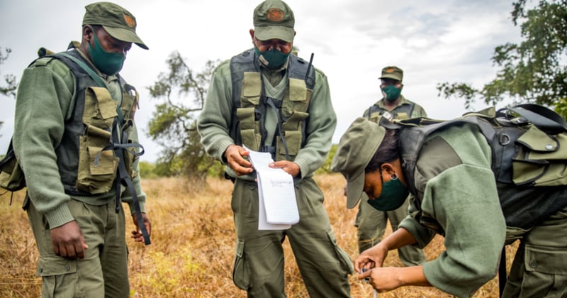 Conservation jobs roundup lists 40+ roles