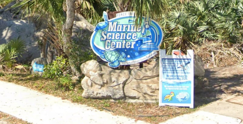 ⭐ Wildlife Celebration, Goldilocks on Trial, Progressive Rebates