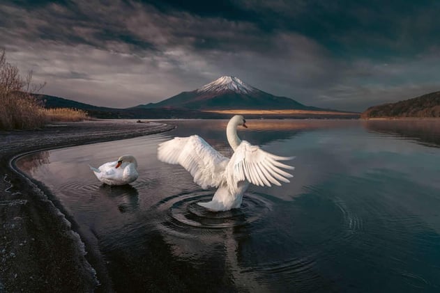 30 Landscape Photos That Evoke Wonder