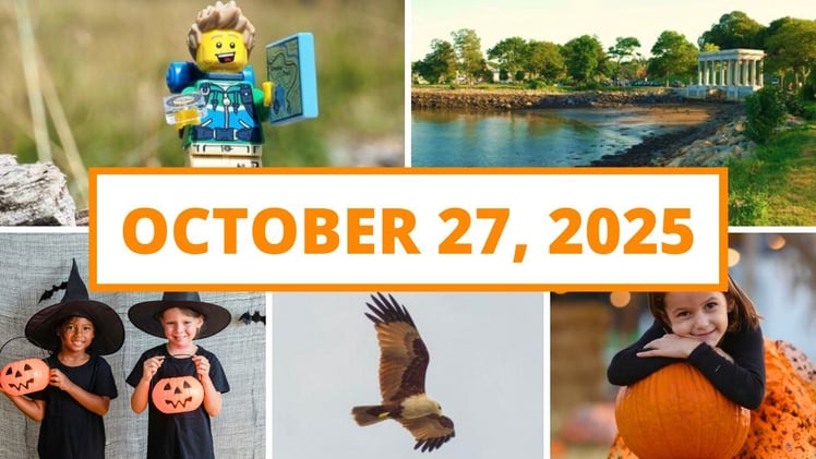 Local author event, a Ghost Hunter star delves into Halloween's history & more!