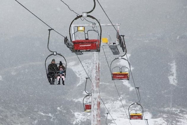 Ski Accident Claims Sports Star's Life 