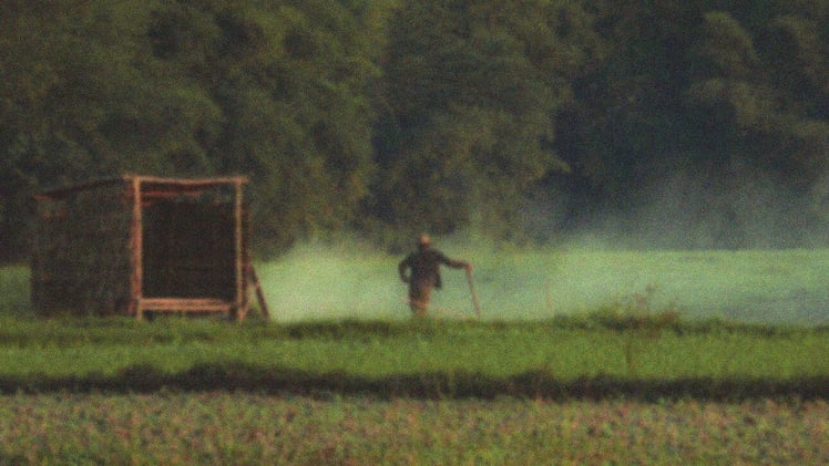 Oficina (migratoria) con sabor a amnistía 