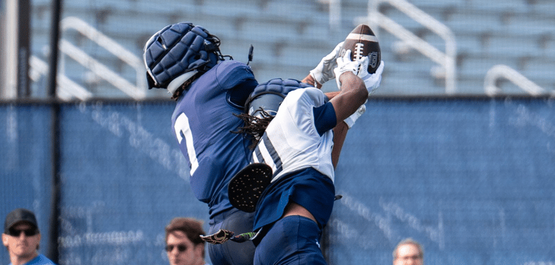 Monarch Brew 4/1: Day By Day