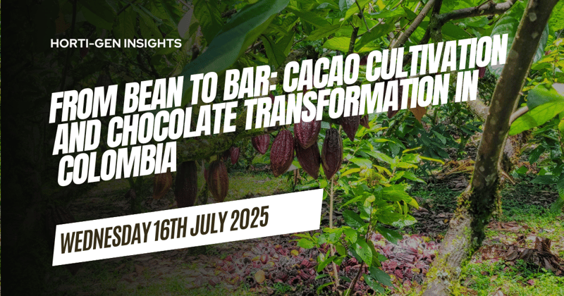 From Bean to Bar: Cacao Cultivation and Chocolate Transformation in Colombia