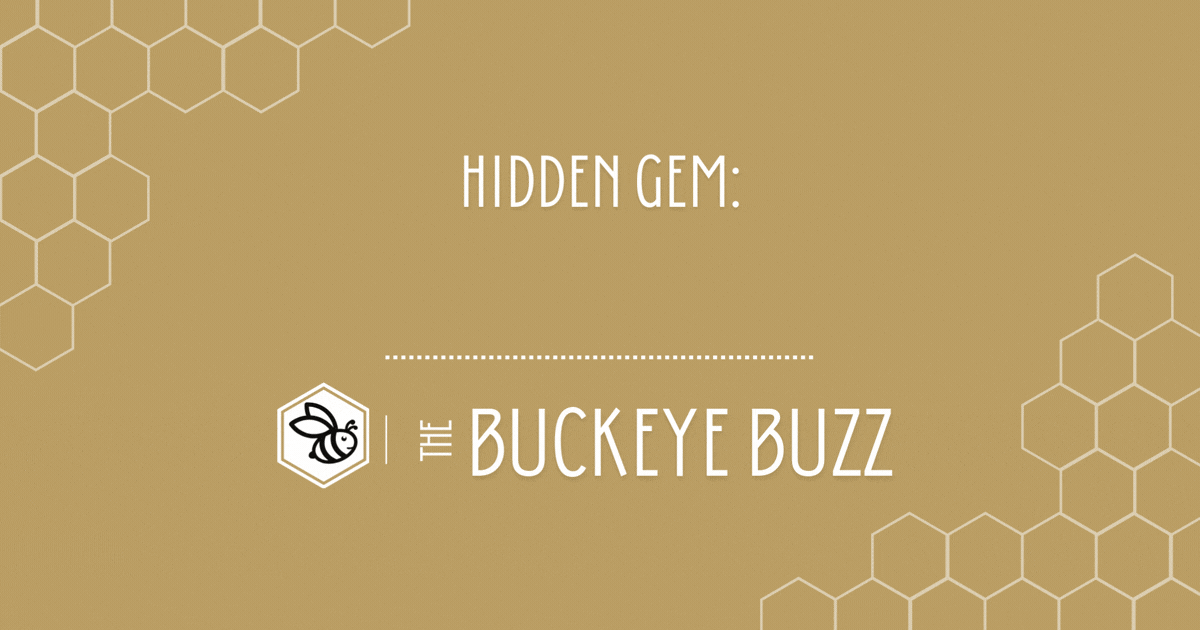 HIDDEN GEM: HOOK, LINE, SURPRISE!