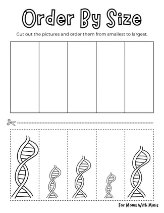 Order The DNA by Size Worksheet