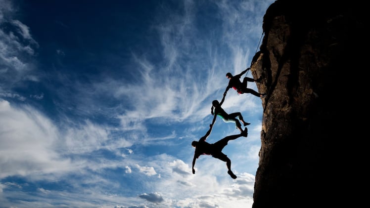 In an AI World, Truth Becomes Your Scarcest Resource