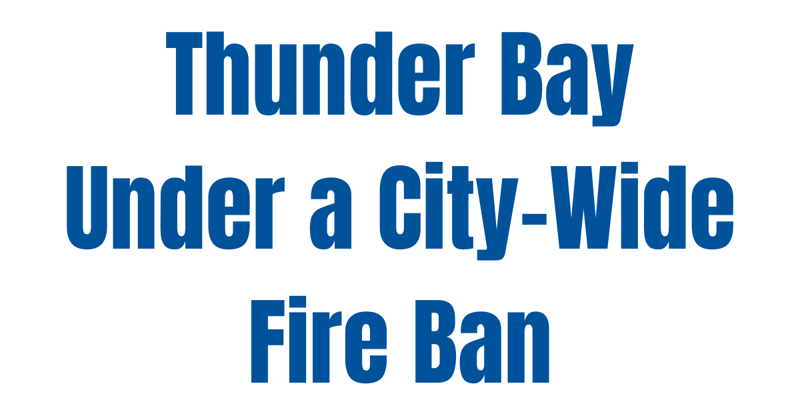 GOOD MORNING - Thunder Bay Digest: 2-6-25