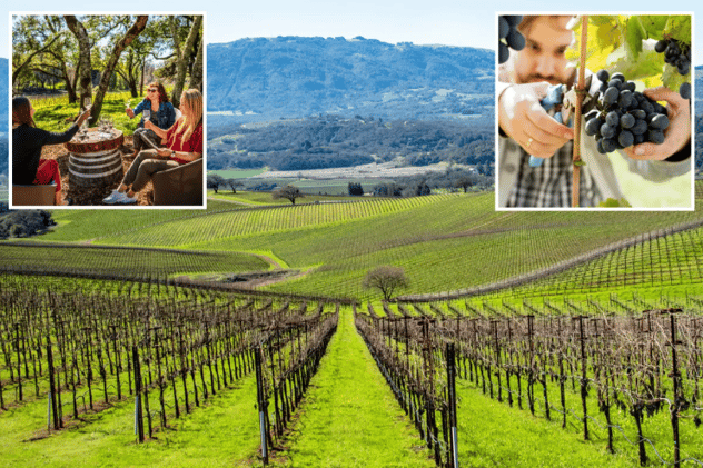 Napa Valley rival looms over Wine Country as shocking figures leave sommeliers on life support // Wine facility with 4.5M gallons went up in flames in Eastern WA