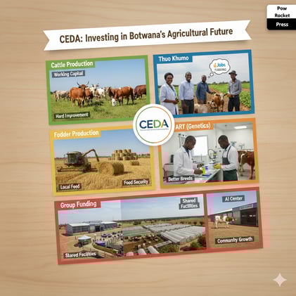 CEDA's new funding scheme