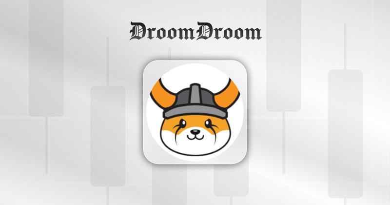 Core Drivers of FLOKI Token Price Fluctuations Analyzed