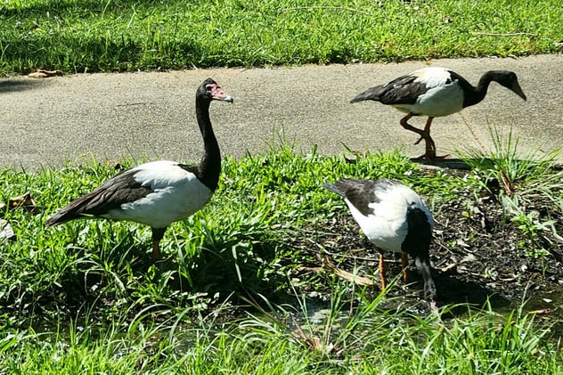 Newsport Alert Tuesday 04 March 2025