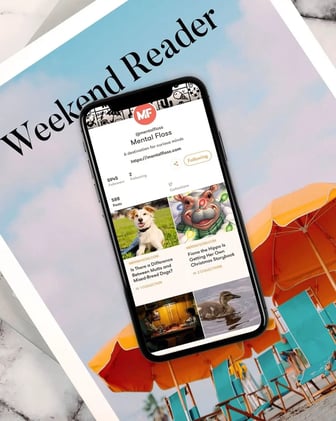 Cómo armar  un portafolio online para compartir artículos