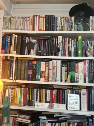 Shelfies #45: Rachel Knightley
