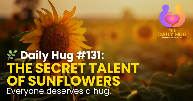 🌿 Daily Hug #131: The Secret Talent of Sunflowers
