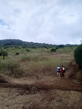 Tumepona ama bado? 🤔