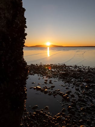 Little Squalicum Pier Is Open + Your Monday Bellingham Update