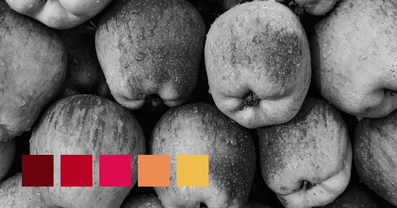 Rich In Fiber And Antioxidants