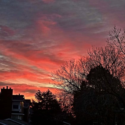 🤠 From Pumpkins to Pie Season 🎃➡️🥧