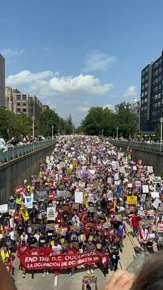 Springville Action - 9/6/25 #32