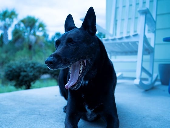 Fixing Color Casts and Techniques for Posing Couples