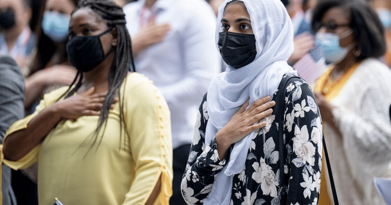 Experts warn this plan undermines core democratic rights.