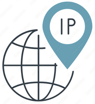 ¿IP pública o VPN?