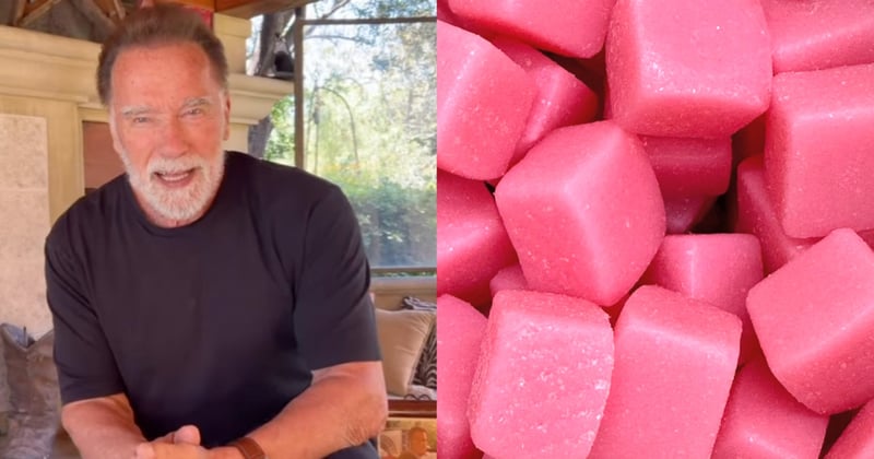 Arnold Schwarzenegger Exposes the Creatine Gummy Con