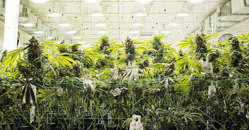 Controlled Environments