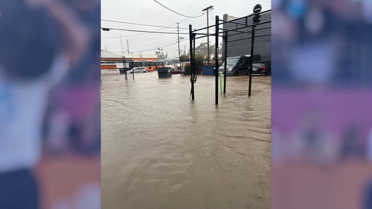 New Year’s Flood Hits CrossFit Humanity — Members Help Reopen in 24 Hours