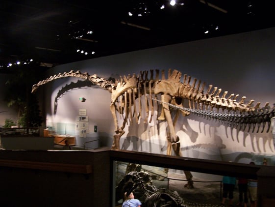 Supersaurus Size, Plastic Code Myths, and the Risk of Mirror Life Forms