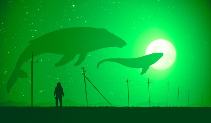 Ethereum Whale Abruptly Moves Over $102,000,000 in ETH – Here’s Where the Crypto Is Heading