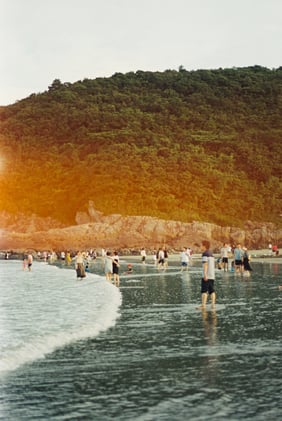 Experimenting with alternative medicine to get out of fight-or-flight mode