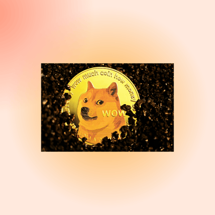 NEXT DOGE?
