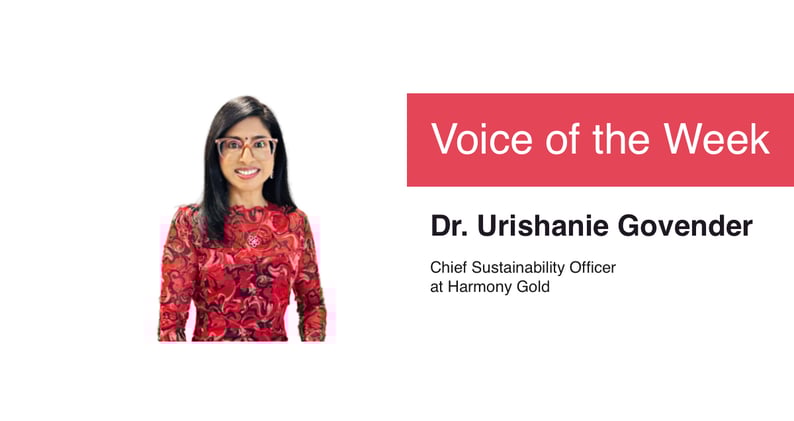 What Emerging Markets Can Teach Us About Sustainable Public Companies 