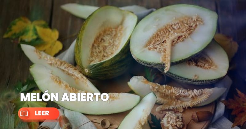 🟦 Melón abierto