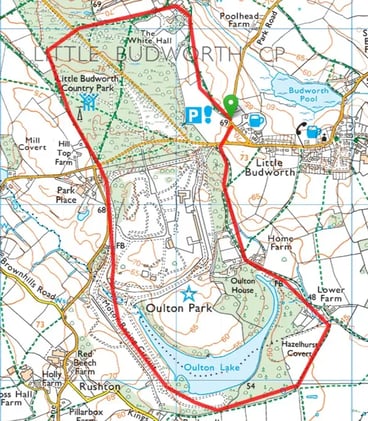 🐝 Spring Social Showcase