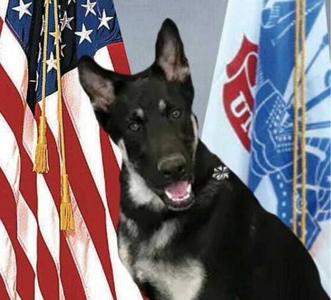 White House under fire over Major Biden promotion to lieutenant colonel