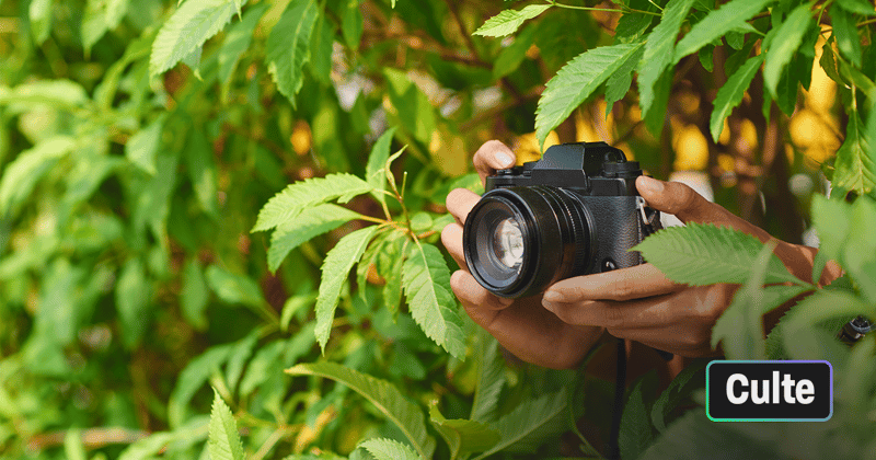 « SUREXPOSÉ », un concours photo sur les ressentis du changement climatique 