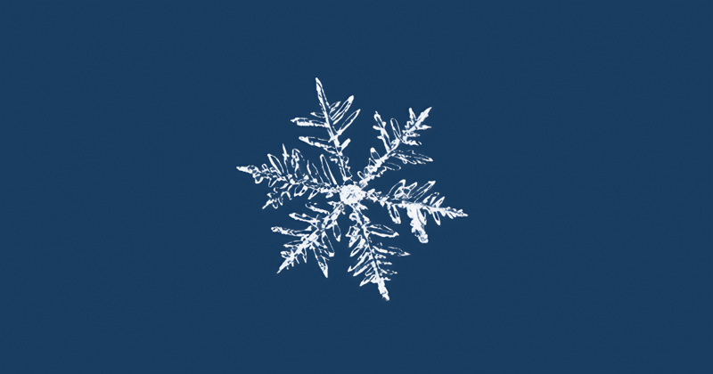 MSKTH Monthly: December