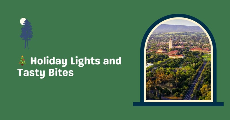 Holiday Lights and Tasty Bites