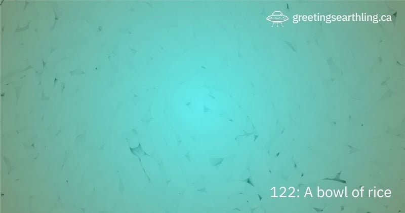 Transmission 122: A bowl of rice