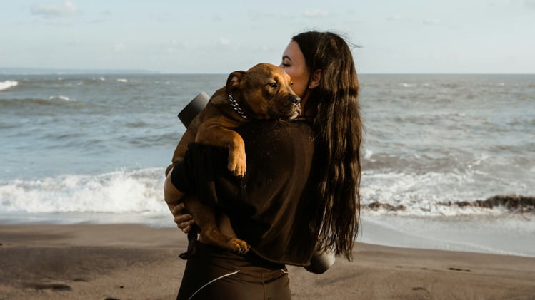 🐕 The 5 love languages for dogs